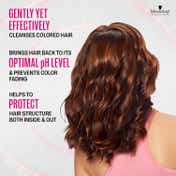 Schwarzkopf Professional Bonacure Color Freeze Shampoo (250 ml) and Treatment (200 ml) Combo