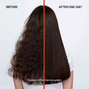 Redken's Anti-Frizz Combo - Frizz Dismiss Shampoo, Mask & Rebel Tame Cream