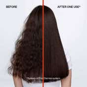 Redken's Anti-Frizz Combo - Frizz Dismiss Shampoo & Mask With Babassu Oil & Smoothening Complex