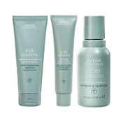 Aveda Scalp Solutions Shampoo + Conditioner + Scalp Treatment Combo