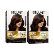 BBlunt Salon Secret High Shine Conditioning Hair Colour Chocolate Dark Brown Combo