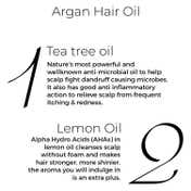 Brillare Tea Tree & Salicylic Oil Shots (48 ml) and Tea Tree Oil (100 ml) Dandruff  Scalp Combo