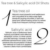 Brillare Tea Tree & Salicylic Oil Shots (48 ml) and Tea Tree Oil (100 ml) Dandruff  Scalp Combo