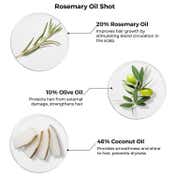 Brillare Rosemary Oil Shots & Shampoo - Combo