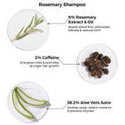 Brillare Rosemary Oil Shots & Shampoo - Combo