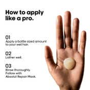 L'Oreal Professionnel Absolut Repair Shampoo (300 ml) Hair Mask (250 g) Combo For Damaged Hair