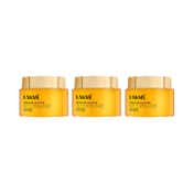 Lakme Vit C Brilliance - Day Cream 50 g Combo Of 3