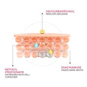 Novology Bi-Phasic Hyper Pigmentation Serum + Pigmentation Reduction Moisturizer Combo