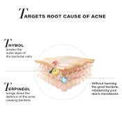 Novology Acne Reduction Cleanser + Acne Spot Corrector Gel Combo