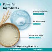 Pilgrim Korean Rice Water Hydra Glow Gel Face Wash Combo