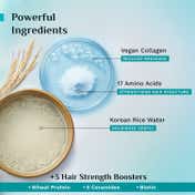 Pilgrim Repair & Regrow Korean Advance Damage Repair Shampoo and Advance Hair Growth Serum Combo