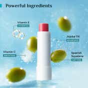 Pilgrim Vitamin C SPF 50+ PA++++ Tinted Lip Balm and Sunscreen Daily Glow Essentials Combo