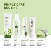 Plum Green Tea Alcohol-Free Toner - Pack Of 2 Tightens Pores Fight Pimples