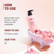 Plum Hibiscus & Ceramides Long & Healthy Shampoo (250 ml) Pack of 2 Combo
