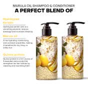 De Fabulous Marula Oil Shampoo and Conditioner- (250ml) Combo
