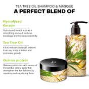 De Fabulous Tea Tree Oil Shampoo and Masque - (250ml) Combo