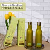 The Earth Collective Combo Pack Anti - Dandruff