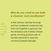 The Earth Collective Combo Pack Anti - Dandruff
