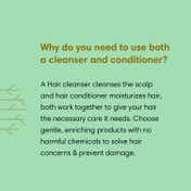 The Earth Collective Oily Scalp Combo