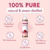 WishCare Pure & Natural Rose Water Toner & Aloe Vera Gel Combo-Hydrates & Repairs Skin (200 ml each)