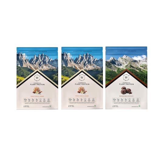 Wellbeing Nutrition Superfood Plant Protein Powder French Vanilla Caramel (500 g) - Pack of 3 Combo