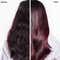 Biolage Colorlast Shampoo & Conditioner Combo for Protection to Color Treated Hair (400 ml + 196 g)