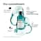 L'OREAL PROFESSIONNEL Scalp Anti-Oiliness Shampoo (300 ml), 2-In-1 Deep Purifier Clay (250 g) Combo