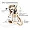 L'Oreal Professionnel Repair Shampoo (300 ml) Hair Mask (250 g) & Hair Serum (90 ml) Combo