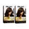 BBlunt Salon Secret High Shine Conditioning Hair Colour Chocolate Dark Brown Combo