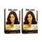 BBlunt Salon Secret High Shine Conditioning Hair Colour Honey Light Golden Brown Combo