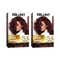 BBlunt Salon Secret High Shine Conditioning Hair Colour Mahogany Reddish Brown Combo