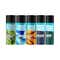 Bombay Shaving Company Men’s Deodorant Gift Set  (5 x 150ml) Combo