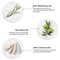 Brillare Rosemary Oil Shots - Pack of 2