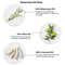 Brillare Rosemary Oil Shots & Shampoo - Combo