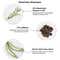 Brillare Rosemary Oil Shots & Shampoo - Combo