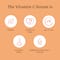 Foxtale Vitamin C Serum 15% L-Ascorbic Acid & 1% Vitamin E Brightening Serum (30ml) Pack of 2 Combo