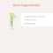 Foxtale Acne Clearing Anti-Acne Trio - Acne Control Cleanser, Corrector Gel & Spot Reduction Drops
