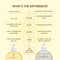 Inde Wild Champi Oil & Moonlight Scalp Serum Combo