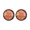 Insight Cosmetics Pro Concealer Palette Combo - Concealer (15 g) (Pack of 2)