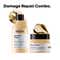 L'Oreal Professionnel Absolut Repair Shampoo (300 ml) Hair Mask (250 g) Combo For Damaged Hair