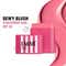 Lakme 9to5 Hya Beach Edit SPF Blush Sunset Rose, Concealer Light 1 and Makeup Mist Combo