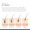 Minimalist Hair Growth Actives 18 % Hair Serum (30 ml) Combo pack of 2