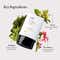 TFS X belif Korean Glow Skincare Rice Water Bright Cleanser + Tinted SPF 50+ Sunscreen Combo