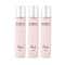 Envy Blush Perfume (60 ml) (Pack of 3) Combo