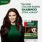 Streax Insta Shampoo Hair Colour - Natural Brown (18 ml) Pack of 10 Combo