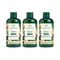 The Body Shop Moringa Shower gel - Pack of 3 Combo