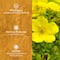 Ustraa Hair Vitalizer Shampoo & Hair Conditioner Daily-Use Combo