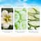 VLCC Matte Look SPF 30 PA+++ & 3D Youth Boost SPF40 +++ Sunscreen Combo
