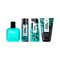 Wild Stone Edge Spray Perfume, Deodorant 1, Face Wash & Shower Gel Combo