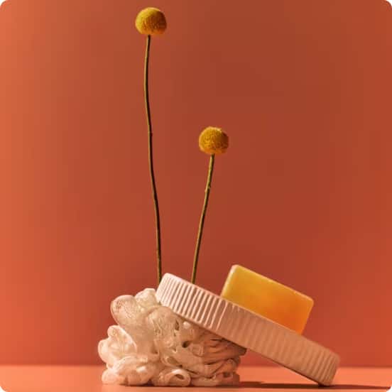 carousel image web